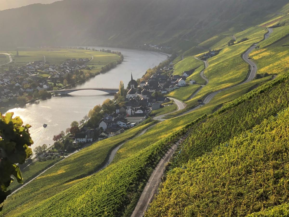 Weingut Lehnert-Spaeter Piesport Dış mekan fotoğraf